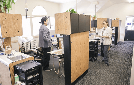 dental staff in dental area