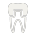 tooth icon